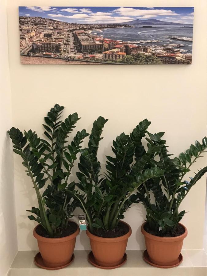 Costa Apartment Napoli Dış mekan fotoğraf
